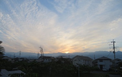 IMG_7385 (2)