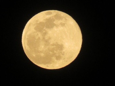 満月20200209 17時48分m-IMG_1505