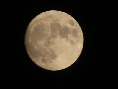 2023092818時19分IMG_2461