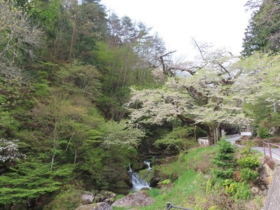 Á̤곹ƻIMG_5259