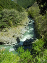 558a77db.jpg
