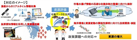 スマート水産での資源評価