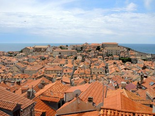 DSCN1375