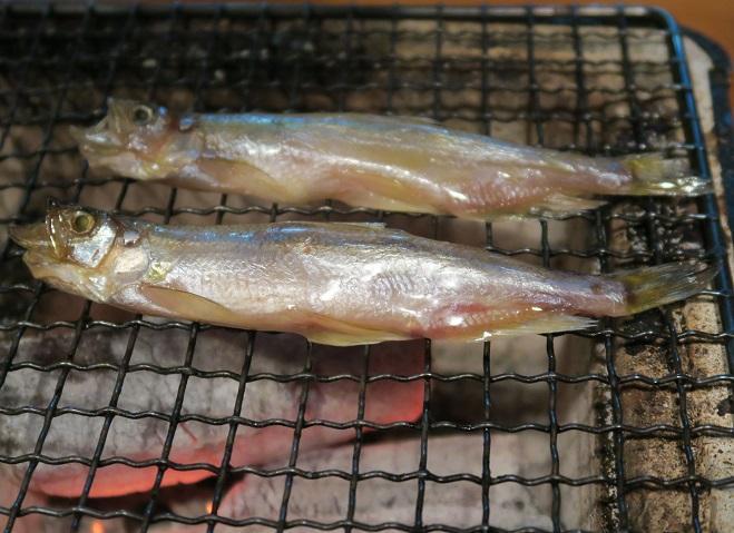 炙り魚介