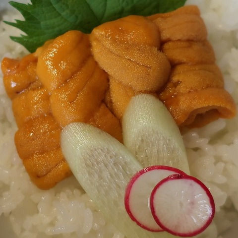 うに丼(しんすけ)2940