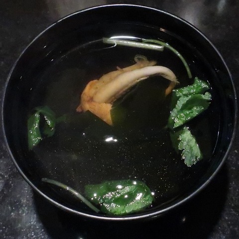 肝吸(活増)
