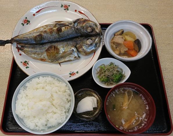 鯵