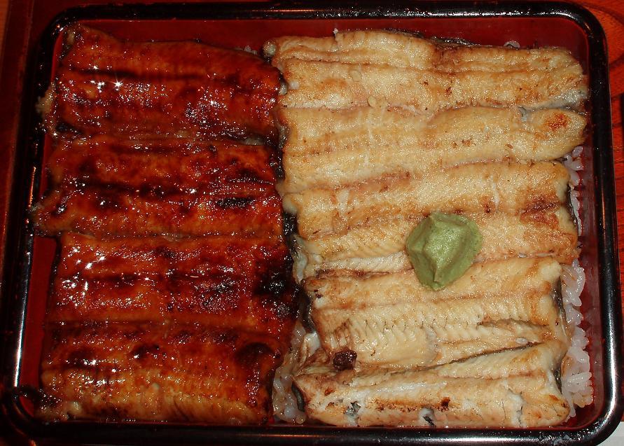 特 白蒲重