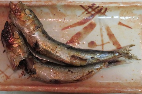 鰯丸干し(帆利川)150