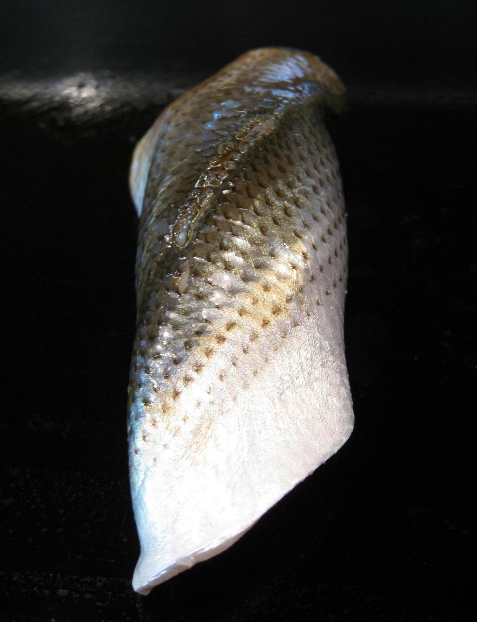 小肌