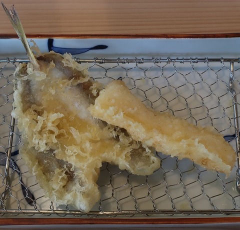 白身魚・烏賊(さき亭)