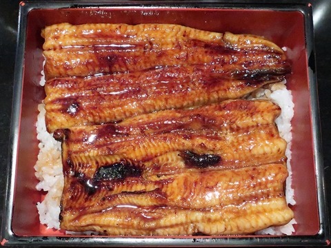 鰻重(活増)4000