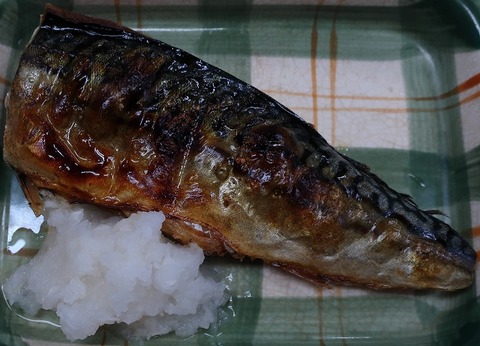 塩鯖(源八)
