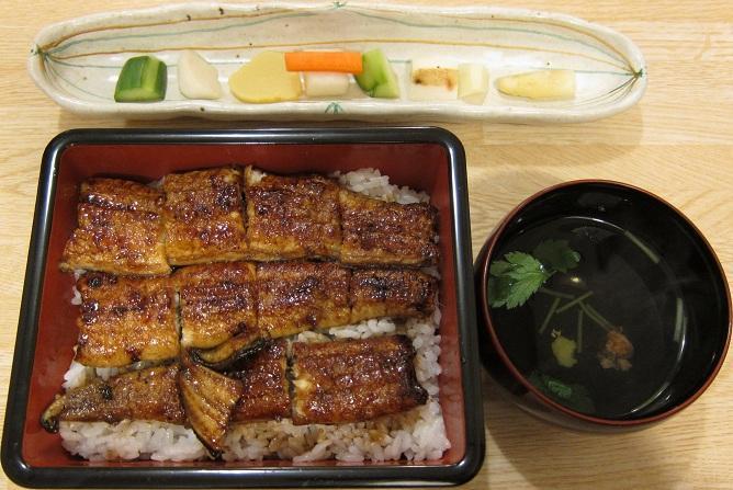 浜名湖産天然鰻