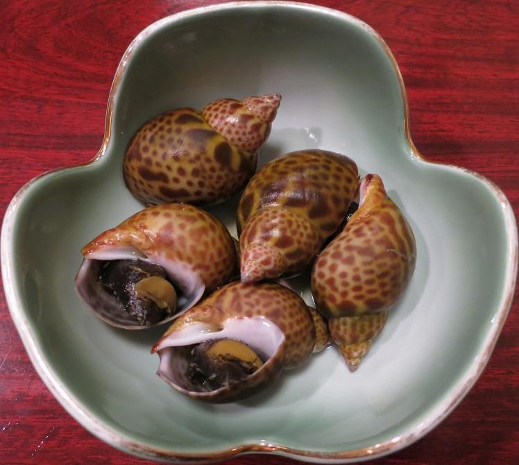 満潮 高知の貝料理 風旅食傳 満潮 高知の貝料理 風旅食傳