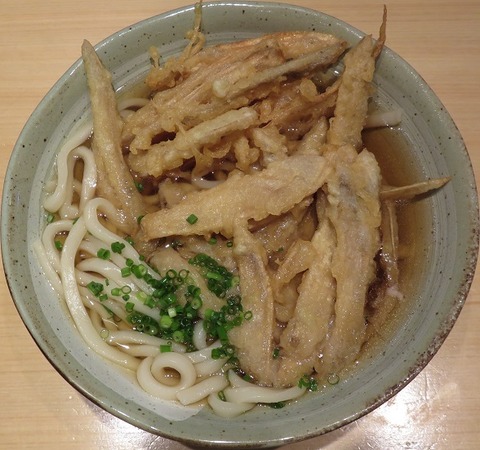 ごぼう天うどん842