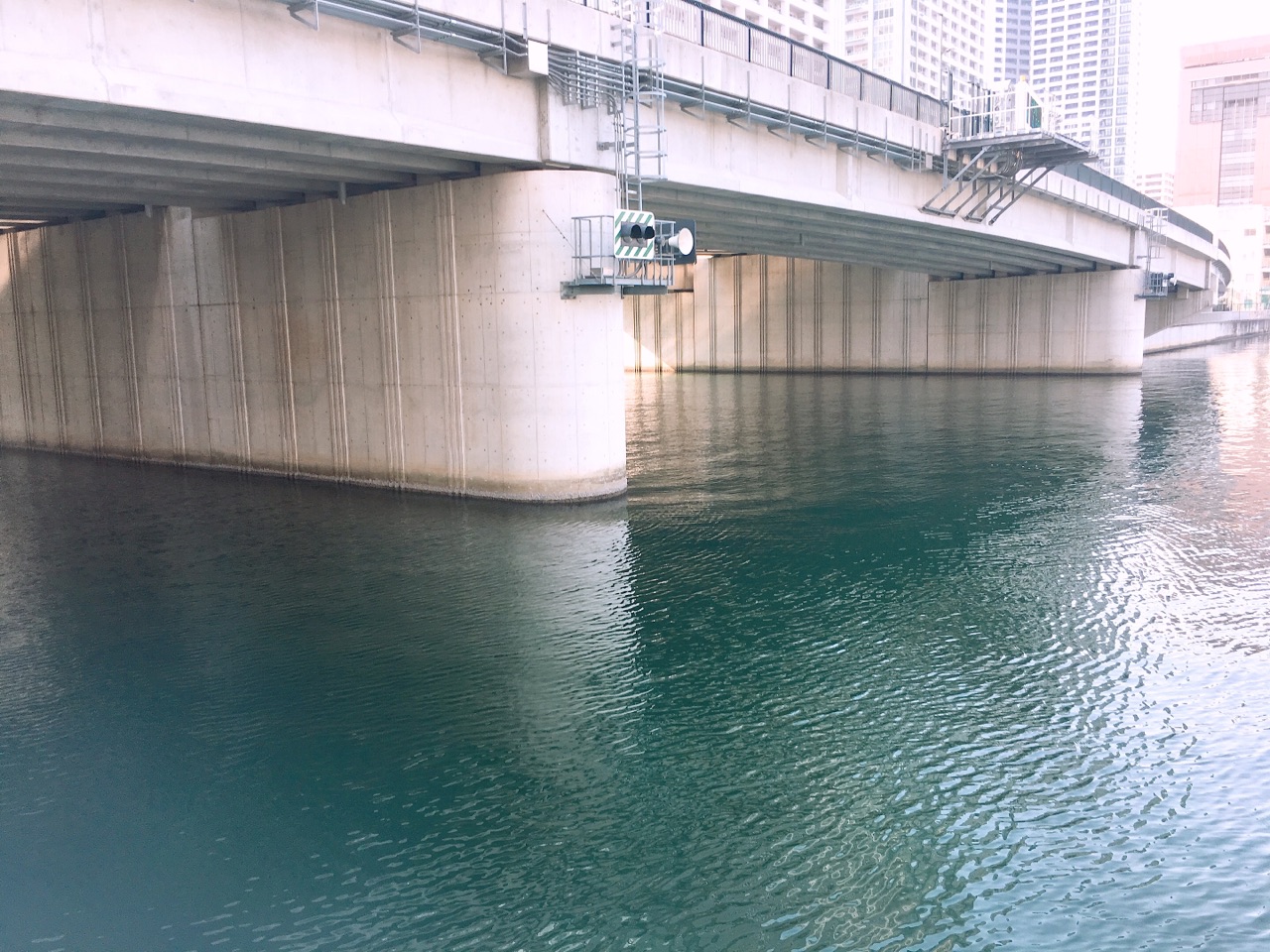リアルな釣果報告 2月１６日 晴海 シーバス釣り 釣果2 バラシ0 アタリ0 シーバスプロを目指す竹ちゃんブログ