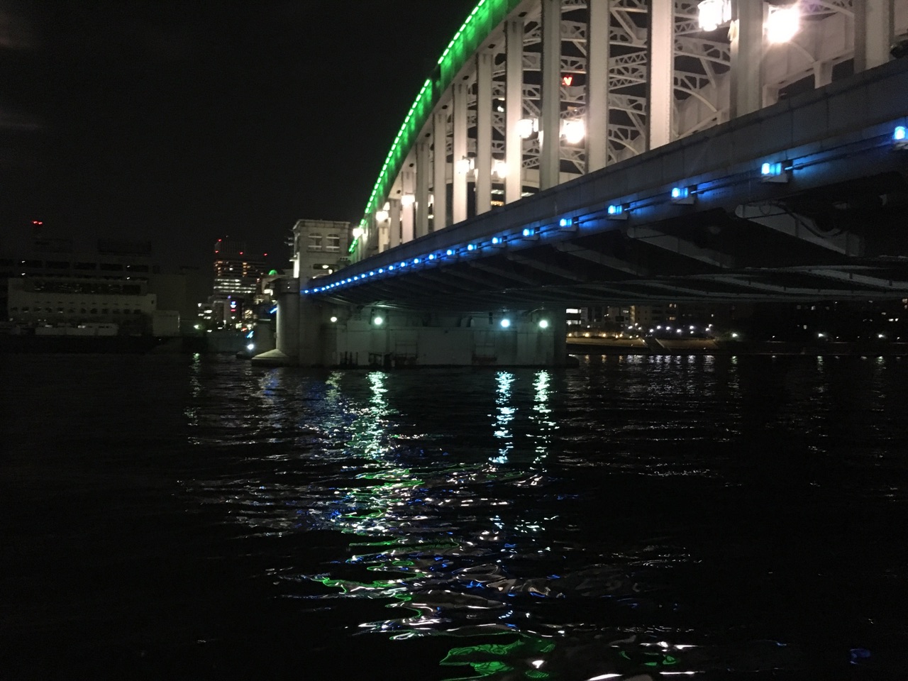 リアルな釣果報告 1月25日 隅田川河口 勝鬨橋 シーバス釣り 釣果1 バラシ0 アタリ2 シーバスプロを目指す竹ちゃんブログ