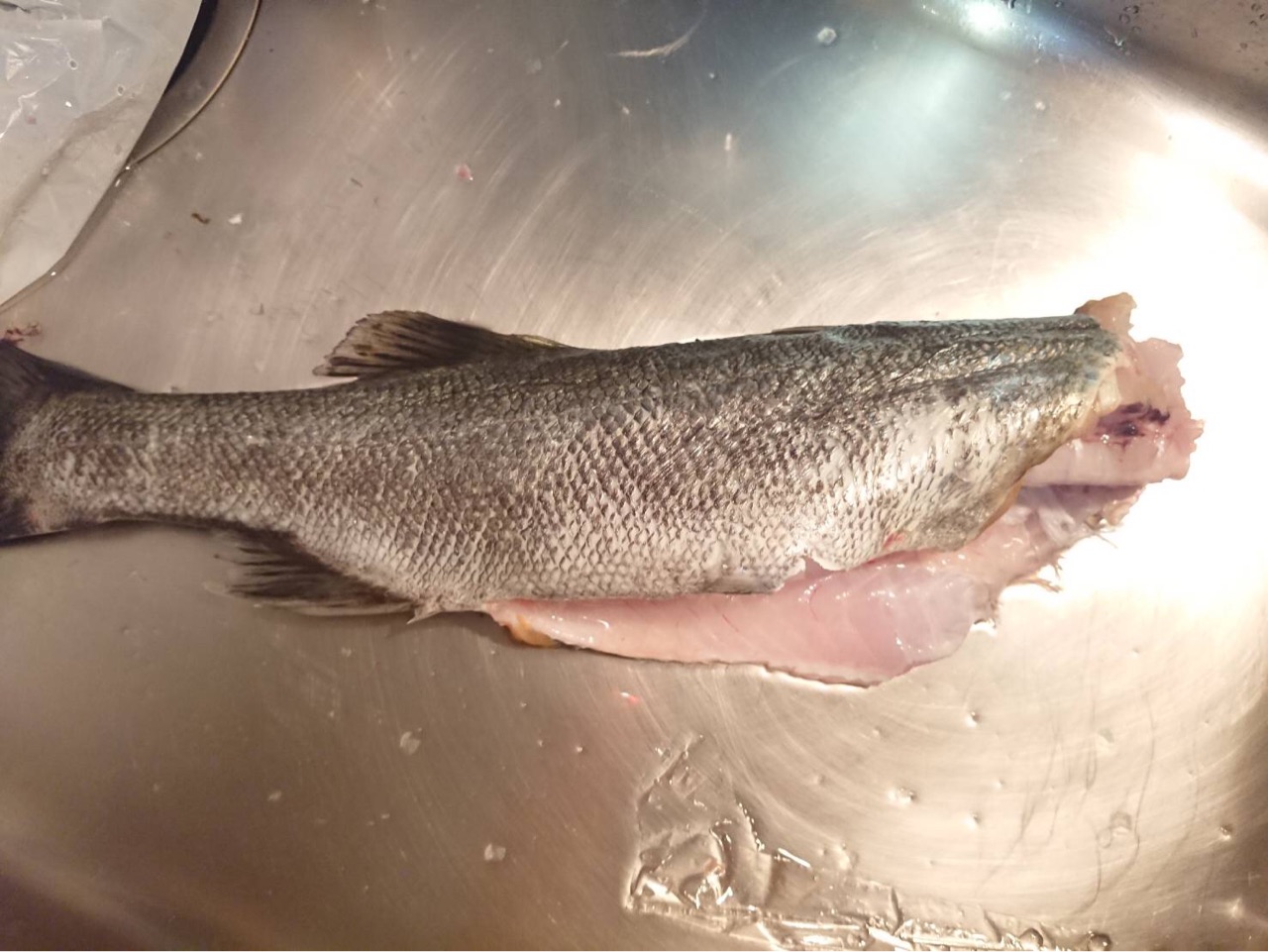 食べる 隅田川河口で釣った55センチのシーバスを食べました シーバスプロを目指す竹ちゃんブログ 食べる 隅田川河口で釣った55センチのシーバスを食べました シーバスプロを目指す竹ちゃんブログ