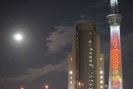 DSC06916