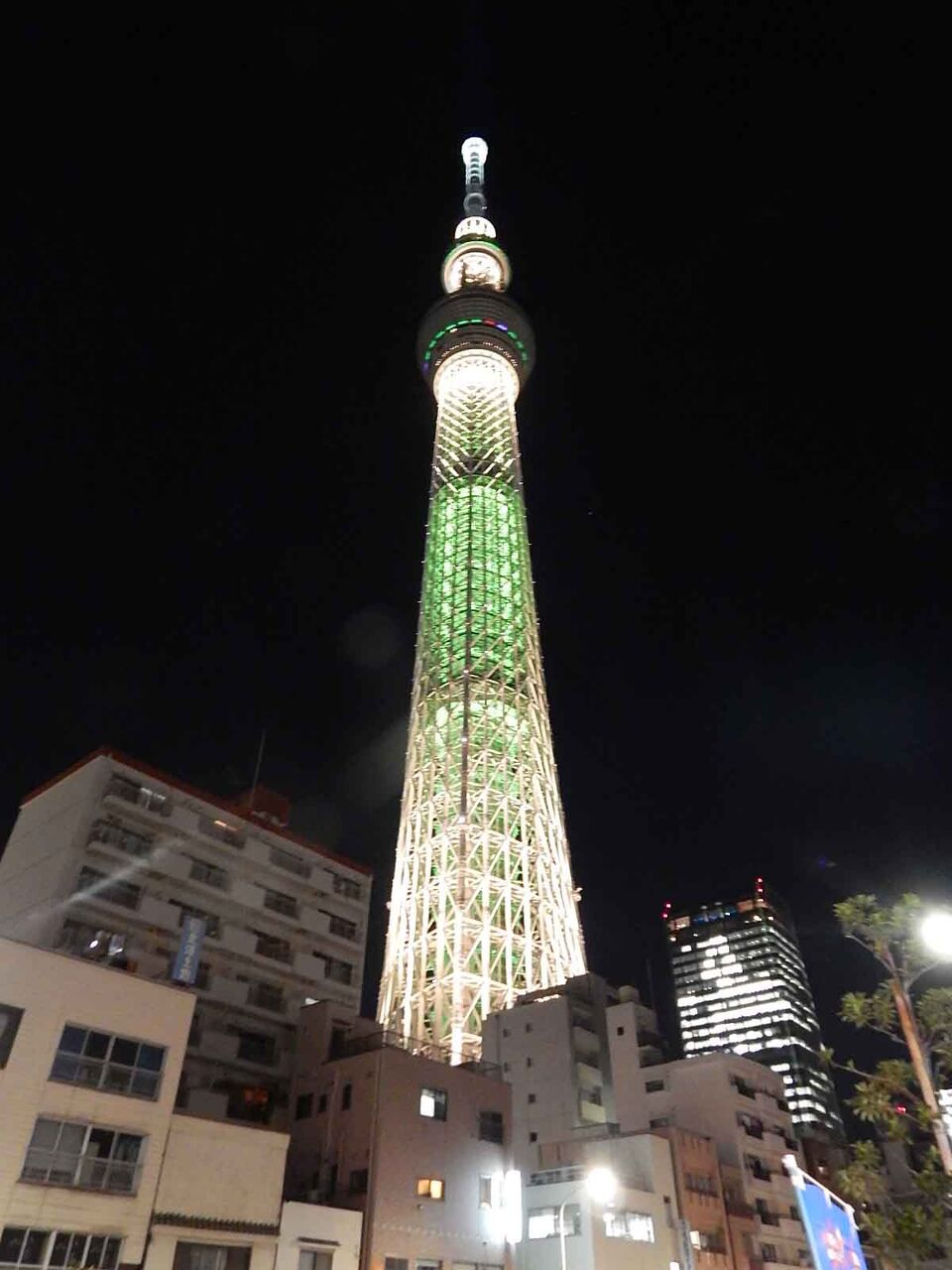 東京スカイツリーにある らーめん大 業平橋店で らーめん 並 味付卵 竹内用の鉄道と食欲日記 平成版 東京スカイツリーにある らーめん大 業平橋店で らーめん 並 味付卵 竹内用の鉄道と食欲日記 平成版