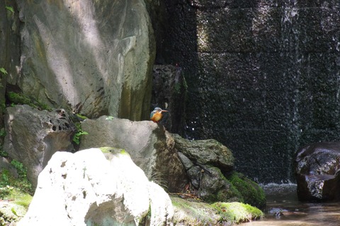 IMGP7327 (2)