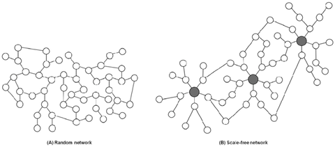 The-random-network-and-scale-free-network