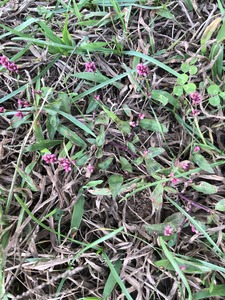 005831C5-1CB3-4EFB-8EF4-251CAFBC8857