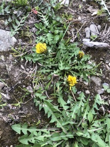 0F53FE81-2F32-4000-8E2F-A1845B8BCED5