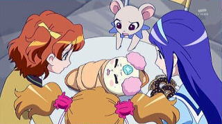 フレッシュプリキュア 第13話 シフォンが病気 パインの新しい力 Takeyan近日日誌