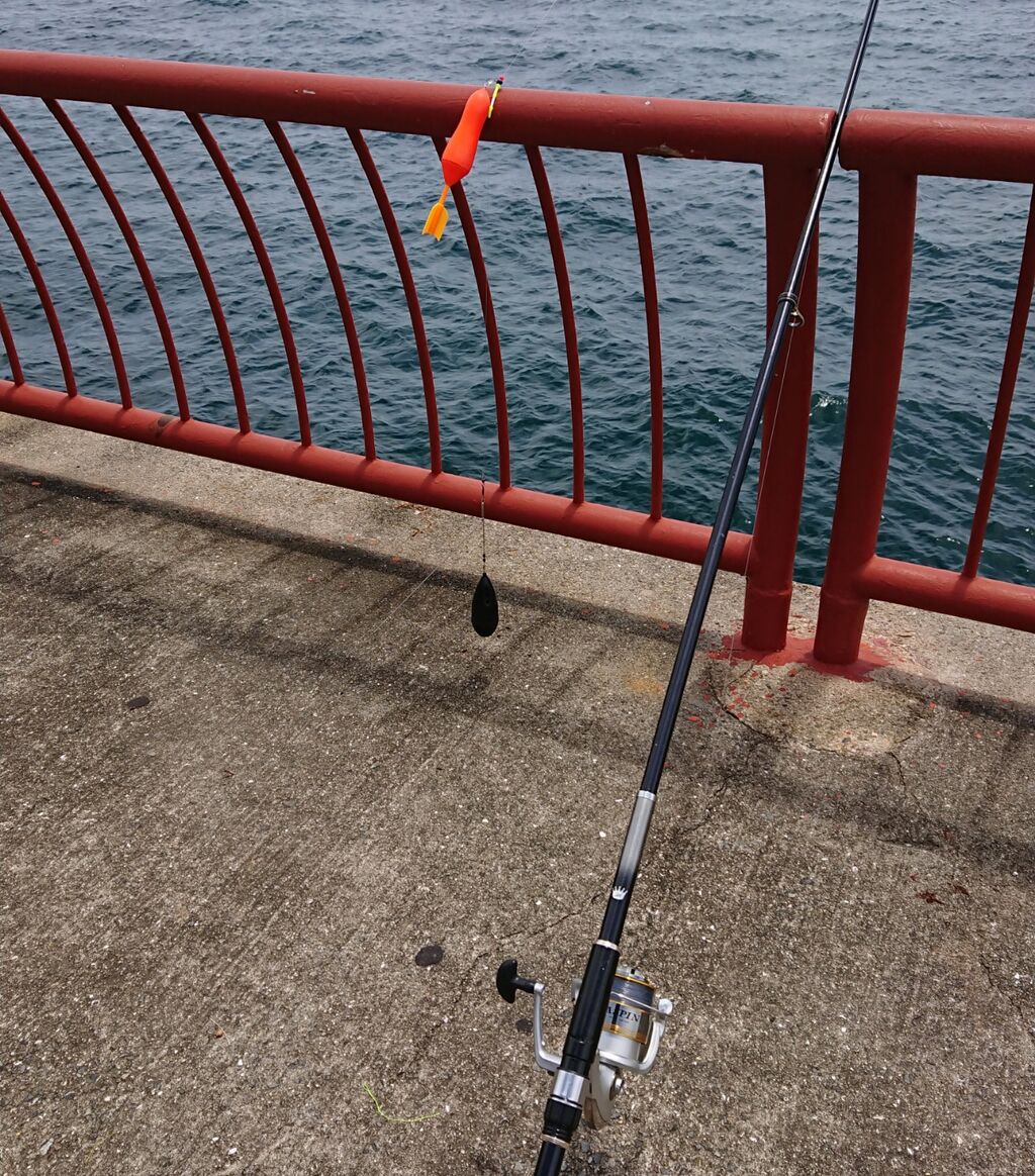 初めての遠投カゴ釣り 平磯海釣り公園 2021 6 20 日 Aaの釣り日記と雑多な備忘録
