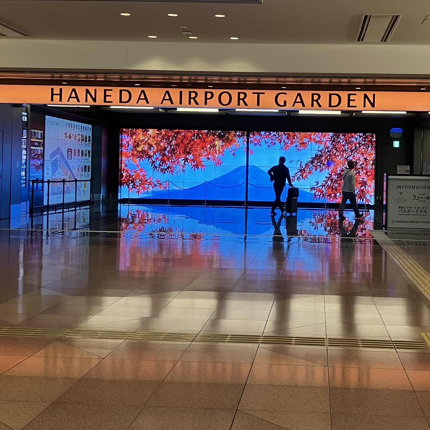 ̵�����񤤤����ޤ�������