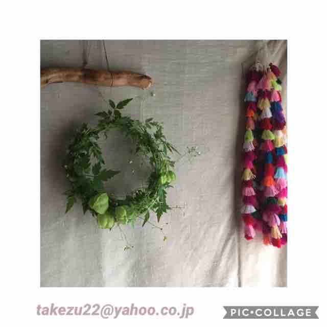 フウセンカズラのリース たけづ日記