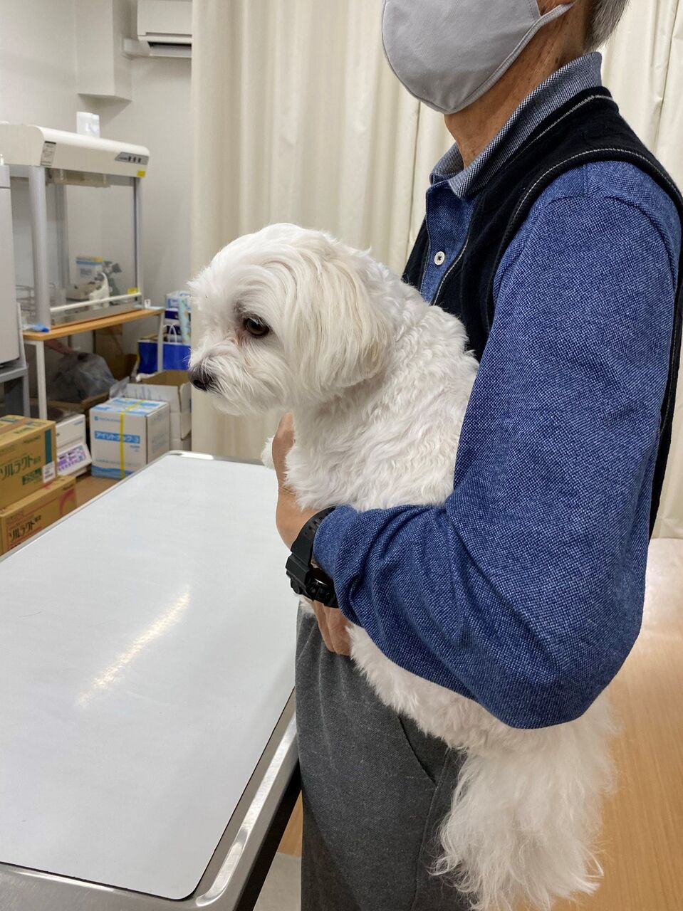 狂犬病の予防接種 タラの多楽福日記 狂犬病の予防接種 タラの多楽福日記