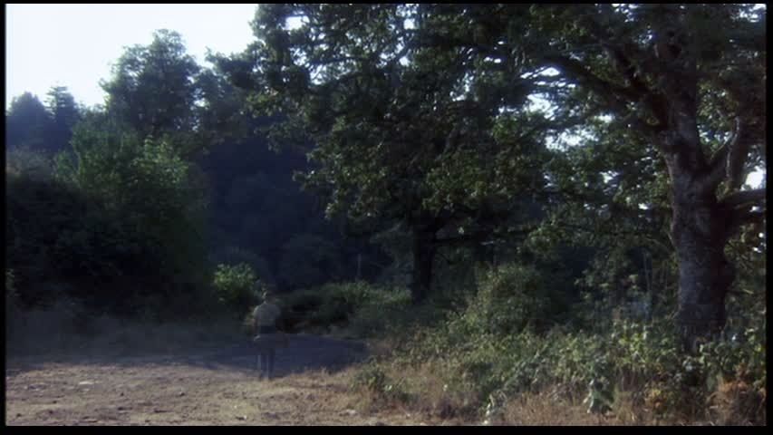 吹替ロードショー35 スタンド バイ ミー 滝番晟のロードショーひとりごと