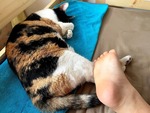 IMG_0349