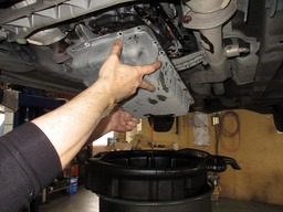 IMG_0791