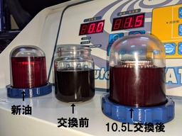 PXL_20210131_085417813