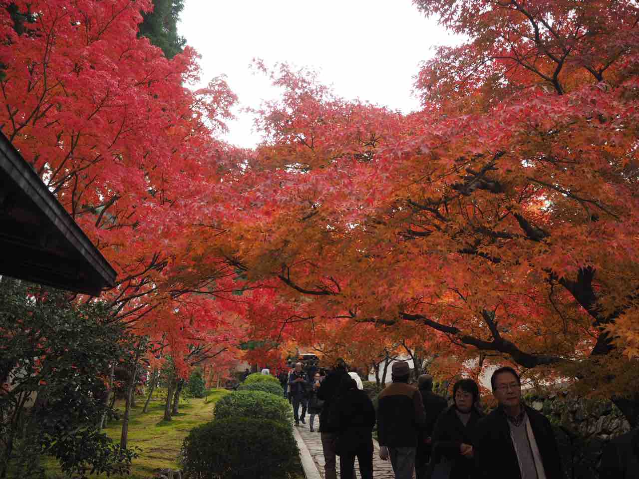 この橋渡るべからず で有名な一休寺の紅葉を見に行きました お仏壇の滝本仏光堂 この橋渡るべからず で有名な一休寺の紅葉を見に行きました お仏壇の滝本仏光堂