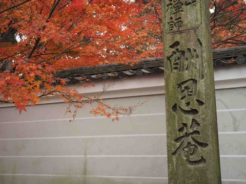この橋渡るべからず で有名な一休寺の紅葉を見に行きました お仏壇の滝本仏光堂