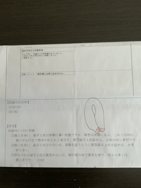 C40C93A4-F584-4E93-BE21-05C593AF70D8