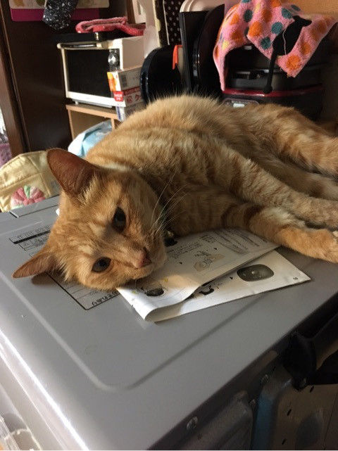 {8E01D964-D654-4D50-8A25-66836FC9E090}