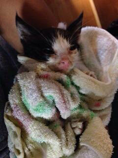 {C4F01205-B95A-46C0-9BA4-768D2B55CFBD}