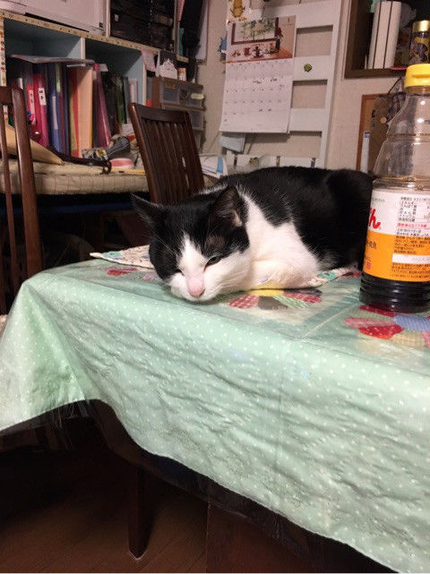 {FCFE5E89-1EBC-4A85-B17A-0F98C5350119}