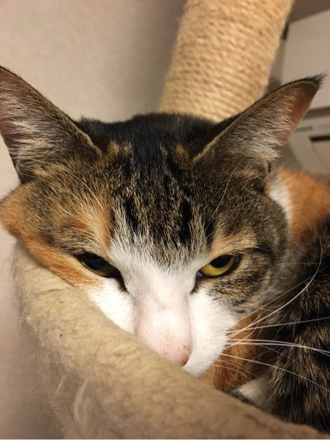 {EA79C264-F758-410D-B404-C0496CD8BAC8}