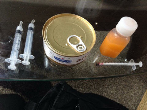 {48771B44-2F35-432B-93B8-040EE2117BAF}