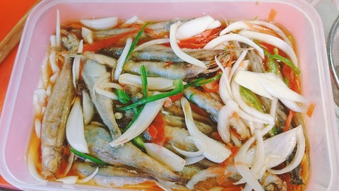 19-02-04-16-17-10-115_deco