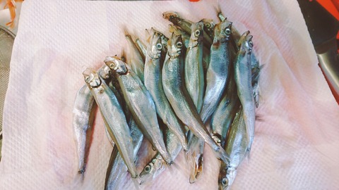 19-02-04-16-15-03-538_deco