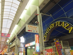 DSCF2063