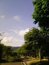 ada03fa3.jpg